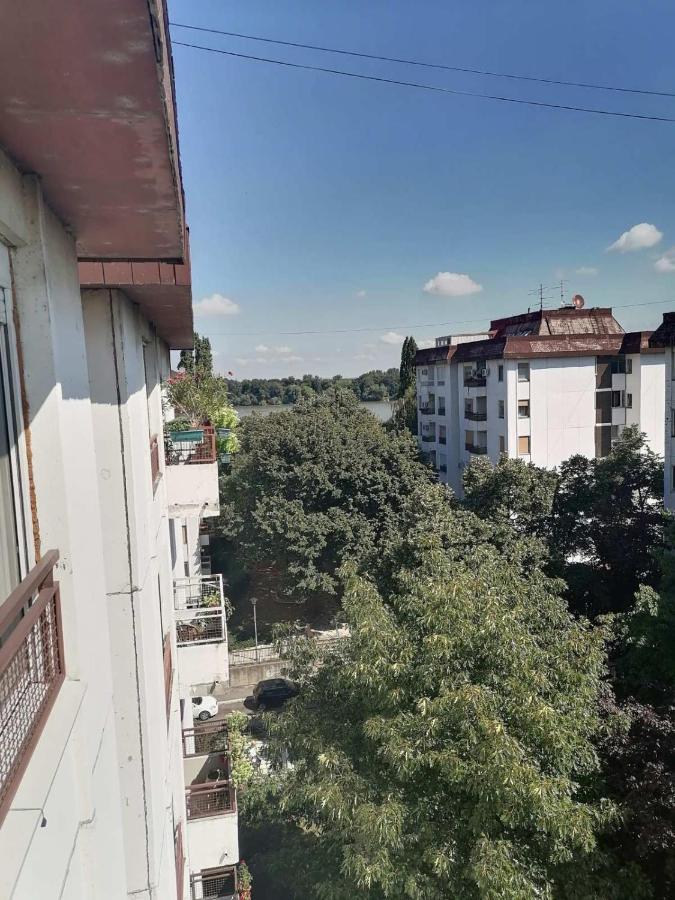 Danube Apartment 贝尔格莱德 外观 照片